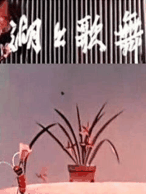 琴帝漫画_湖上歌舞封面在线看